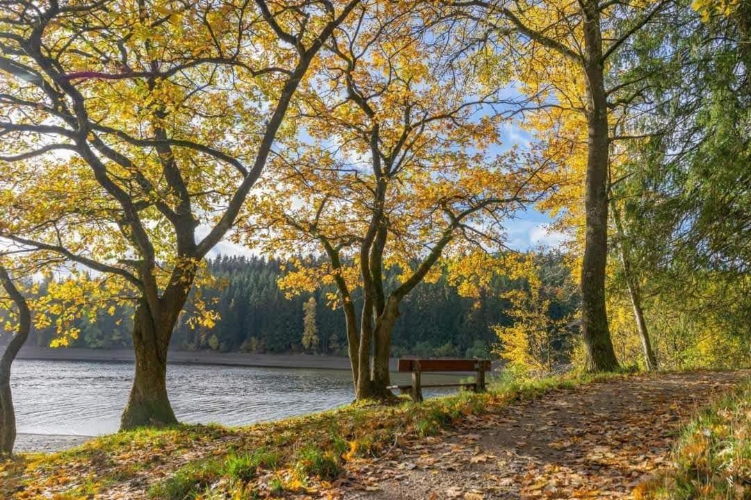 Lac Abane Au Lac Butgenbach Exterior photo